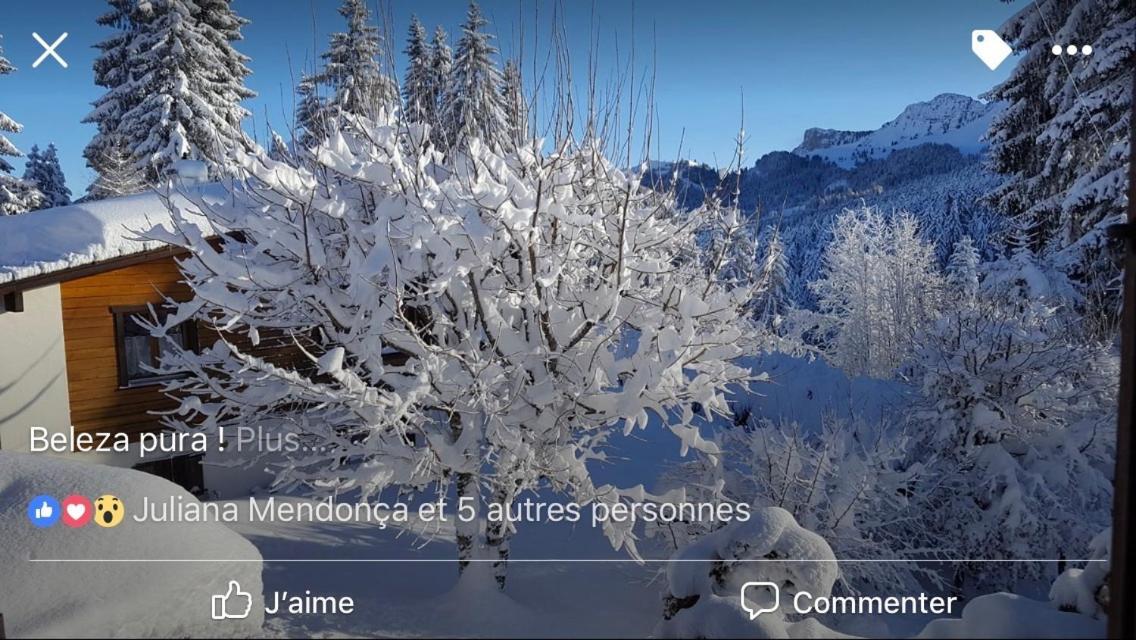 Route Des Joncs 300 Appartemen Les Paccots Exterior foto
